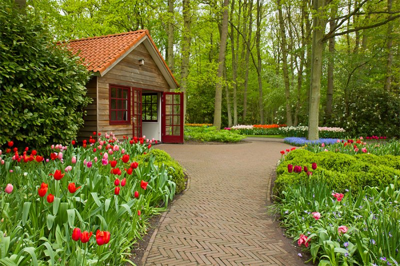 Hollanda Lale Bahçesi